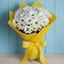 Букет цветов из:  Хризантемы в Новом Приморского края
