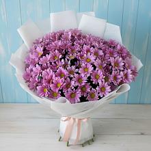 Букет цветов из:  Хризантемы в Новом Приморского края