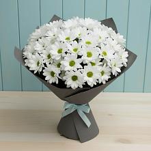 Букет цветов из:  Хризантемы #REPLACE_PRED# Новом Приморского края