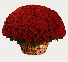 Премиум букет из: Розы в Новом Приморского края